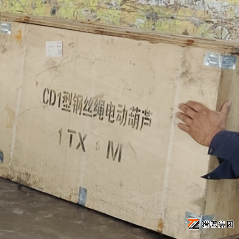 专业钢丝绳电动葫芦厂家—猎鹰集团