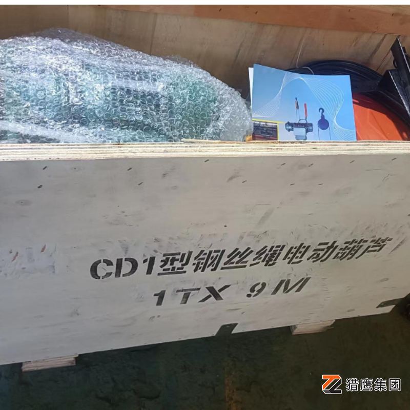 防静电钢丝绳电动葫芦油漆车间专用